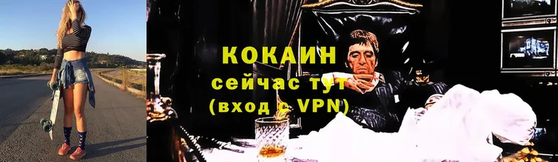 COCAIN FishScale Горбатов